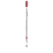 CS 5460 Duo Swiss Edition 2020