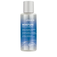 Moisture Recovery Shampoo