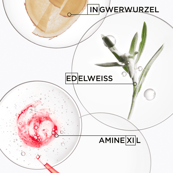 Bain Hydra-Fortifiant (Anti-Haarausfall Shampoo, fettiges Haar)