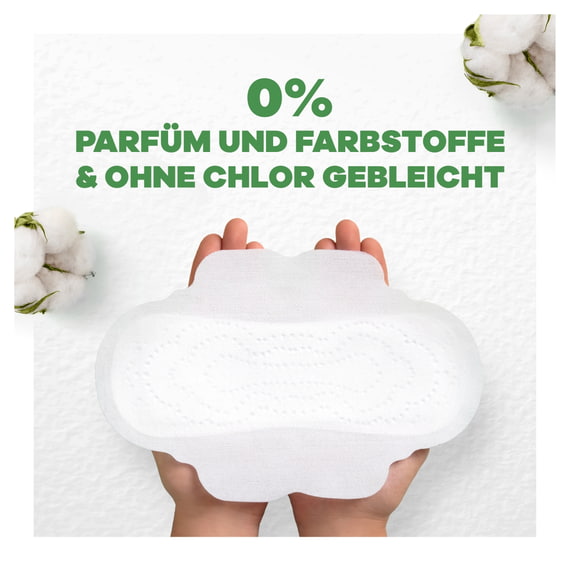 Binden Normal mit Flügeln - 11 Stk.