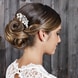 Hair Comb With Pearls & Strass