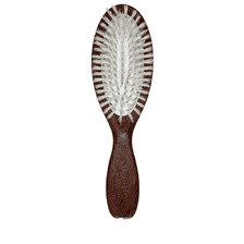 Travel Hairbrush