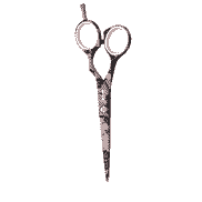 Lady-Love 5,5 Hair Scissors
