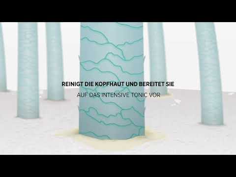 Energy Shampoo
