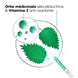 Shampoo Sec Teinté avec BIO-ortie