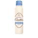 Deo Absorb+Efficacité 48h Spray