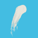 Leave In Conditioner