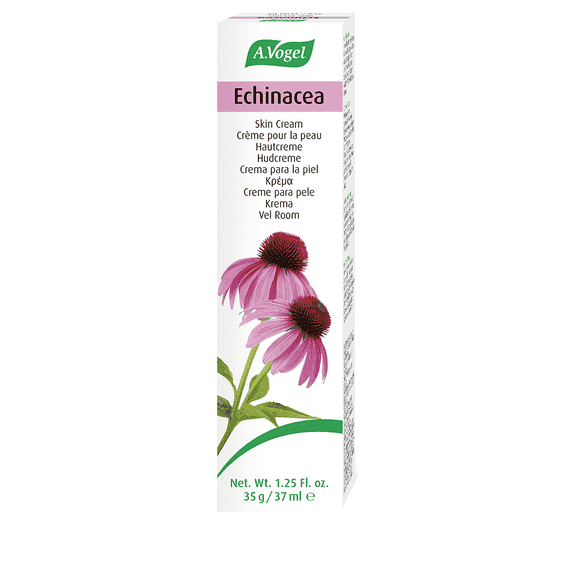Echinacea Hautcreme
