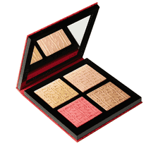 Project R Face Palette X 4-01