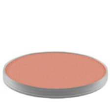 Powder Kiss Eyeshadow Pro Palette My Tweedy