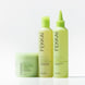 Apple Cider Triple Cleanse Shampoo  