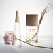 Vétiver Eau de Toilette Intense