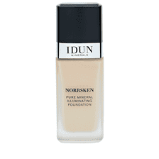 Norrsken Liquid Foundation Saga