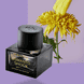 Osmanto Shock Extrait de Parfum