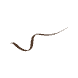Lash Idôle Liner Brown