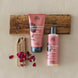 Soft Wild Rose Colour Preserve Conditioner