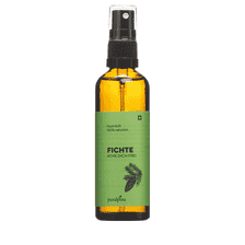 Spruce Room Fragrance