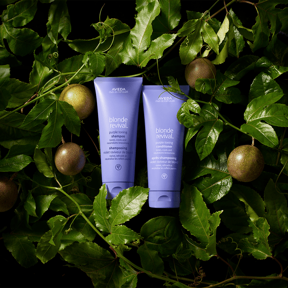 Blonde Revival Conditioner