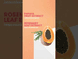 Miracle Hair Treatment Shampoo