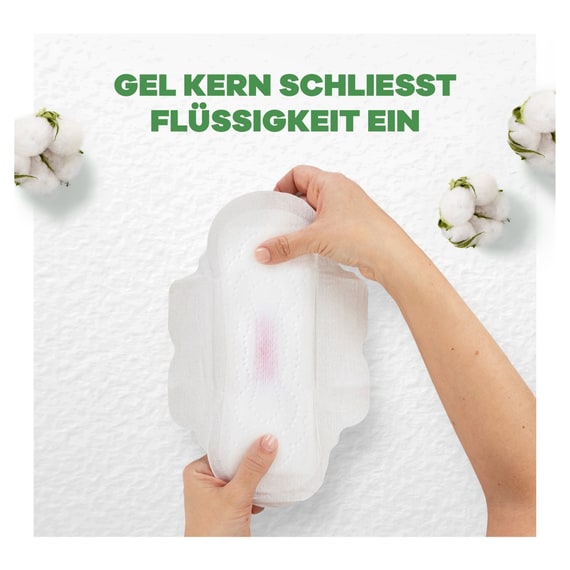 Binden Normal mit Flügeln - 11 Stk.