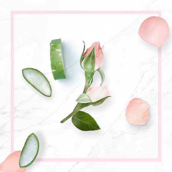 Purezza gentle micellar water