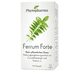 Ferrum Forte Capsules – 100 Pcs.