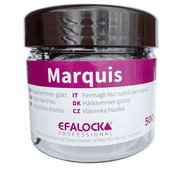 Marquis hairgrips 4 cm Marrone
