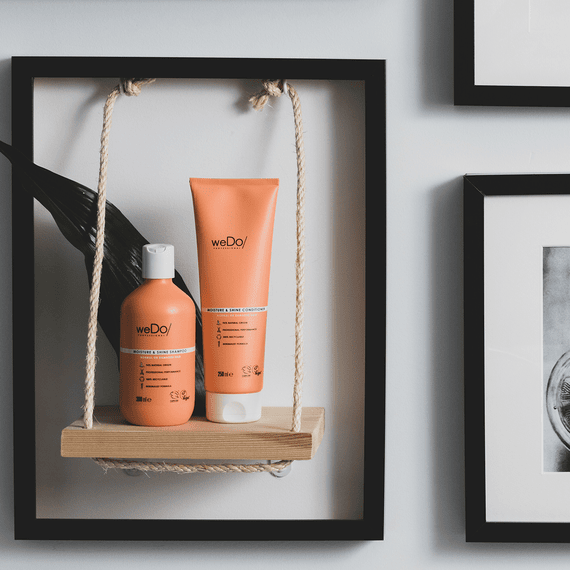 Moisture & Shine Conditioner