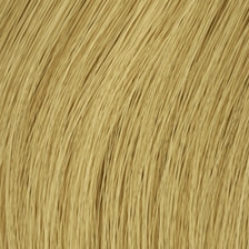 Tape-In Extensions Standard 25 cm - 24