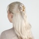 Hair Clip With Curved Acrylic Plate