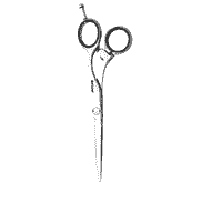 Evolution Flex 5.75 Hair Scissors