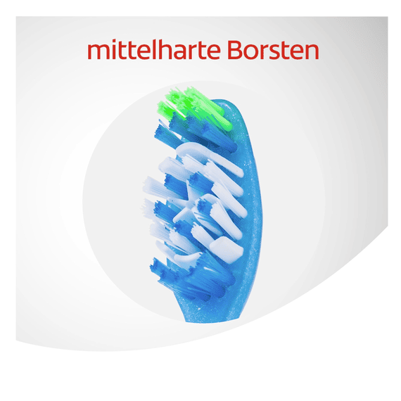Max White Toothbrush Medium