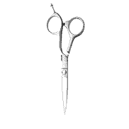 Vision 5.75 Hair Scissors