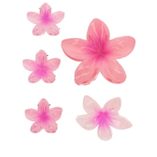 Frangipani Set Pinces À Cheveux & Clip - Rose & Pink