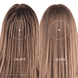 Shampoo Sec Teinté avec BIO-ortie