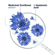 Invigorating Moisturising Serum with Bio Cornflower