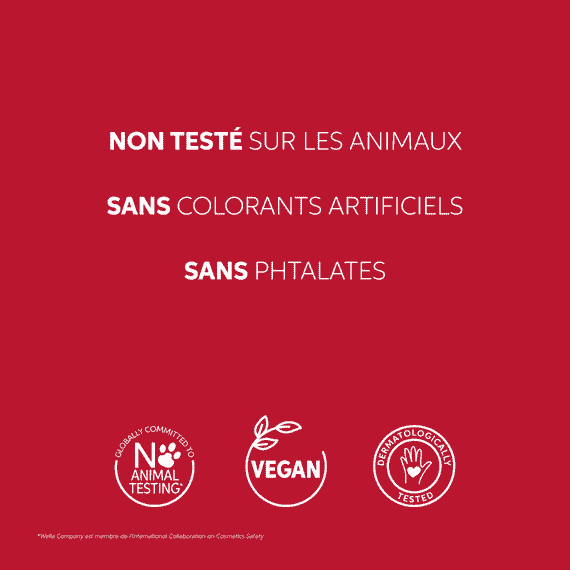 Soin Protecteur sans rinçage