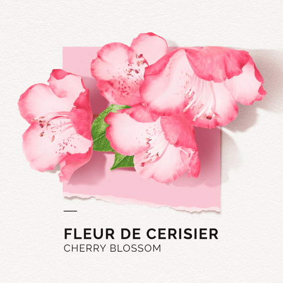 Clean Beauty Hand Cream Fleur de Cerisier