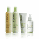 Brilliant Gloss Conditioner  