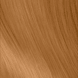 Colorsmetique HC 8,34 Biondo Chiaro Oro-Rame