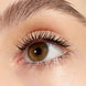 Dramatic False Lash Effect Mascara Waterproof
