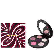 Surprise eyes eye shadow x6: rich