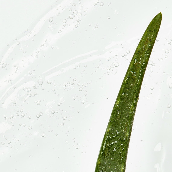 Reis Peeling Bio Aloe Vera