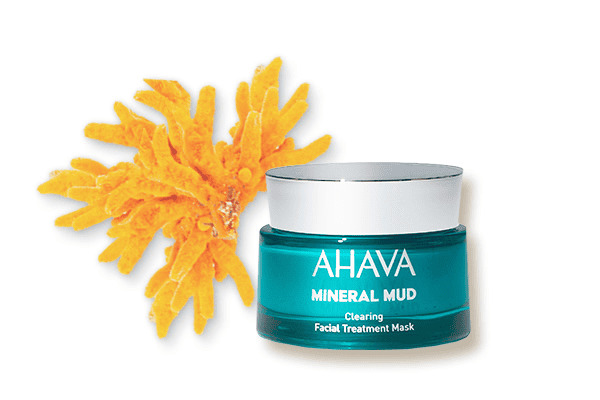 AHAVA MASKS Mineral Mud Clearing Facial Treatment Mask 50 ml